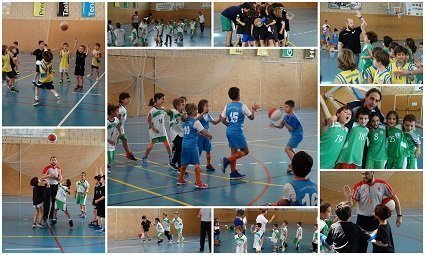 Pincha para ver el álbum de fotos del BabyBasket 22.4.2017