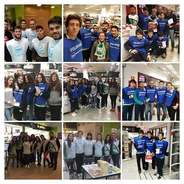 GranRecogida2016 COLLAGE